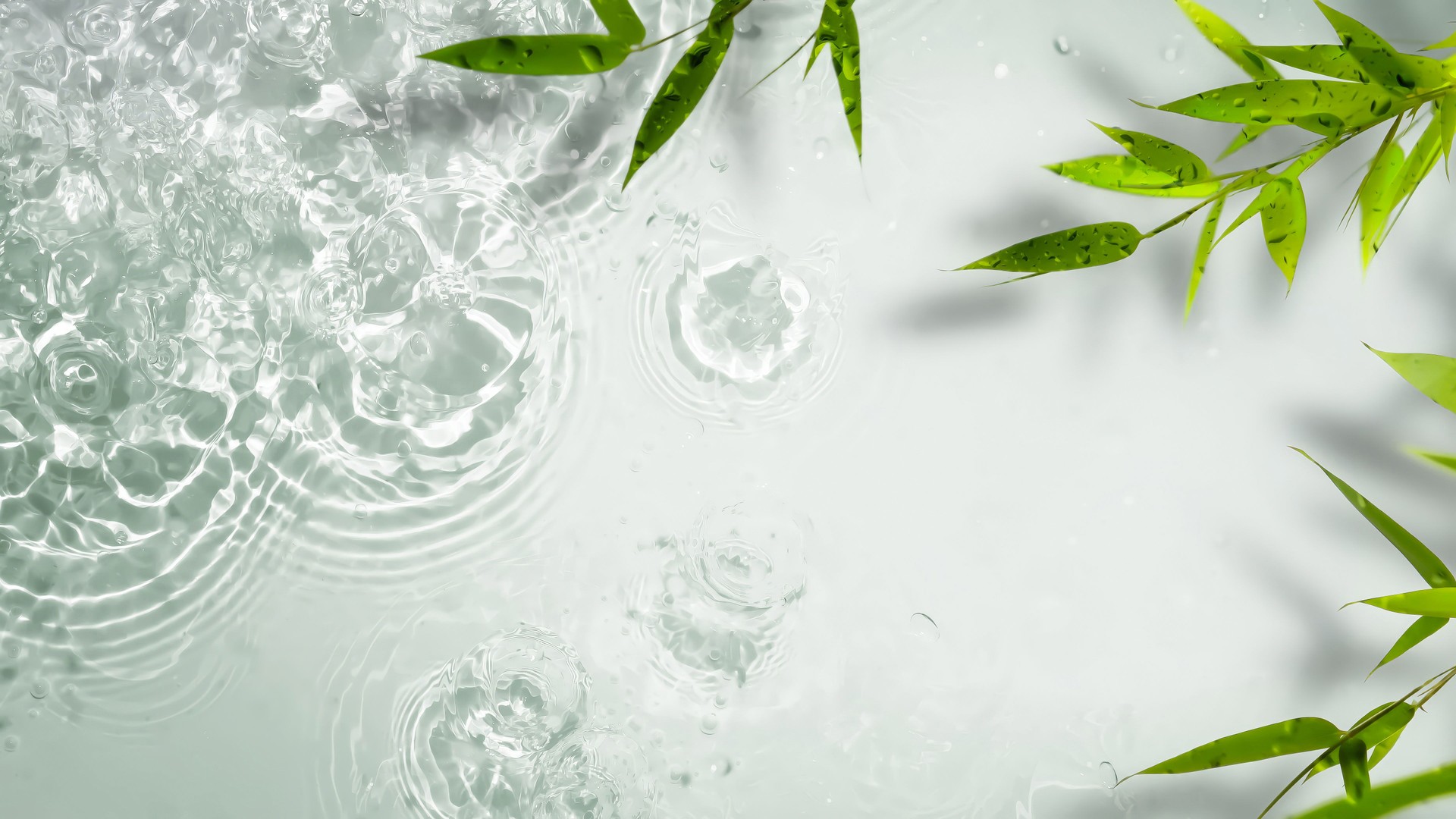 abstract fresh transparent water surface from above with a border of green bamboo leaves, beauty care spa background with asian spirit