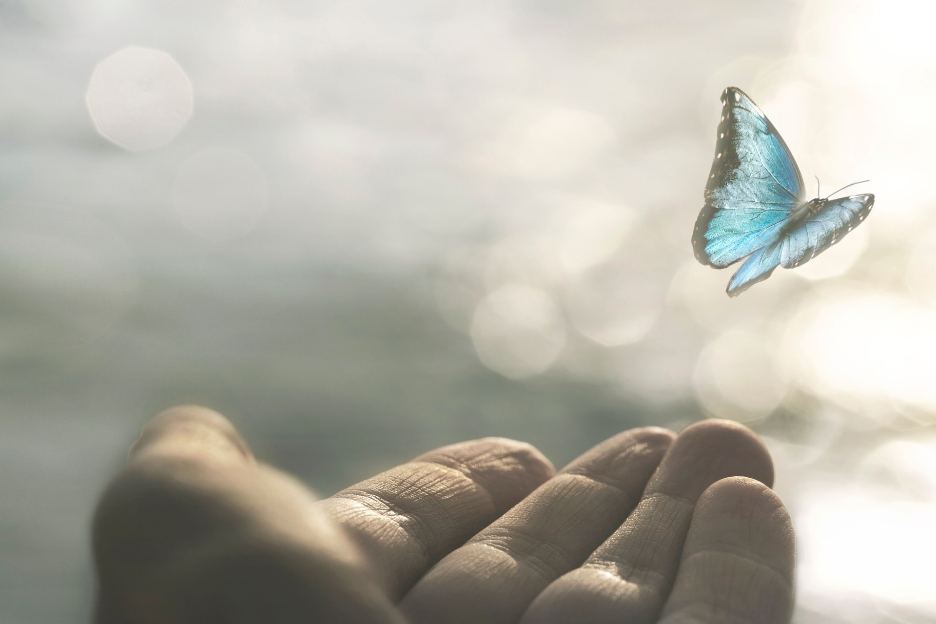 a delicate butterfly flies away from a woman's hand